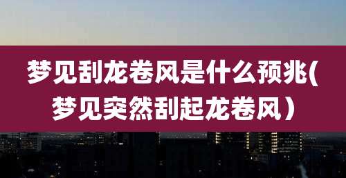 梦见刮龙卷风是什么预兆(梦见突然刮起龙卷风)