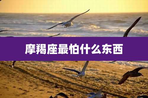 摩羯座最怕什么东西