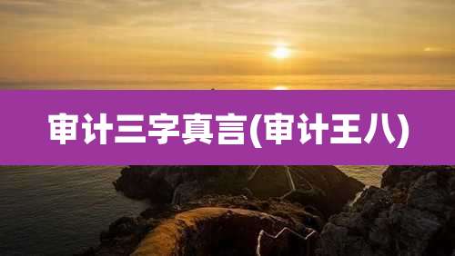 审计三字真言(审计王八)