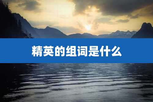 精英的组词是什么