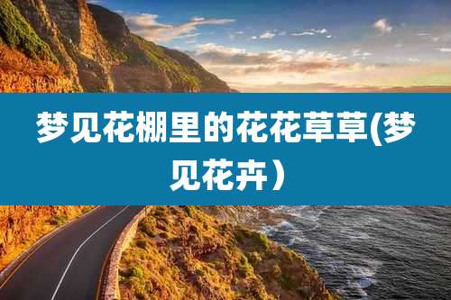 梦见花棚里的花花草草(梦见花卉）