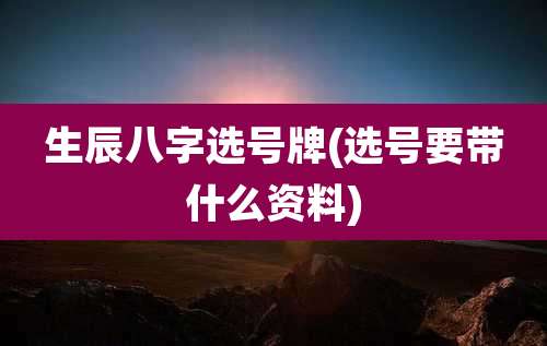 生辰八字选号牌(选号要带什么资料)