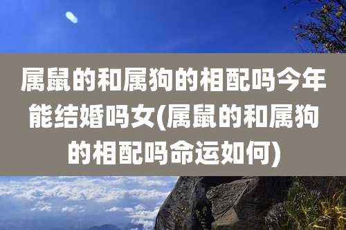 属鼠的和属狗的相配吗今年能结婚吗女(属鼠的和属狗的相配吗命运如何)