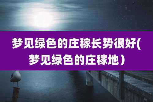 梦见绿色的庄稼长势很好(梦见绿色的庄稼地)