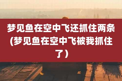 梦见鱼在空中飞还抓住两条(梦见鱼在空中飞被我抓住了）