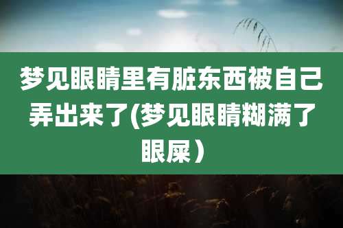 梦见眼睛里有脏东西被自己弄出来了(梦见眼睛糊满了眼屎)