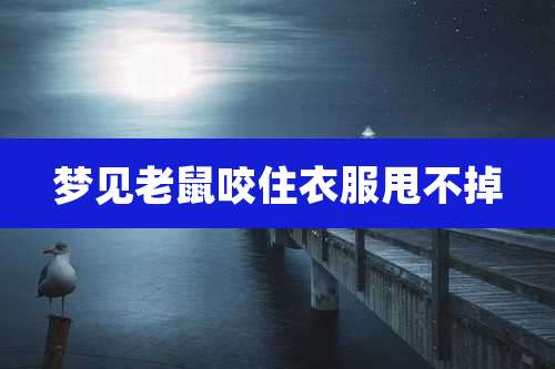 梦见老鼠咬住衣服甩不掉