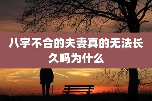 八字不合的夫妻真的无法长久吗为什么