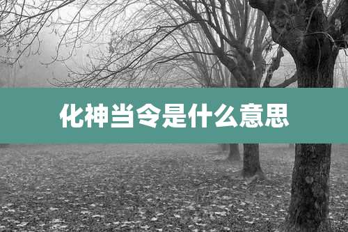化神当令是什么意思