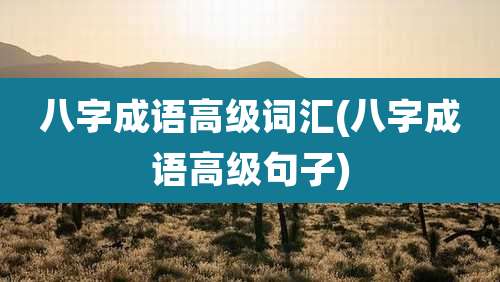 八字成语高级词汇(八字成语高级句子)