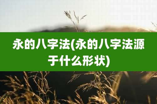 永的八字法(永的八字法源于什么形状)
