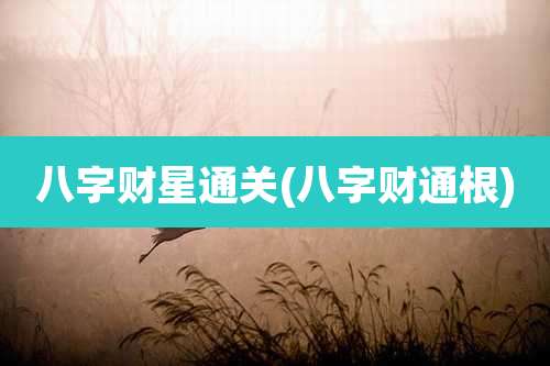 八字财星通关(八字财通根)