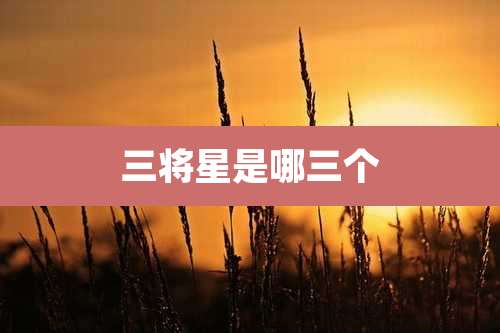 三将星是哪三个