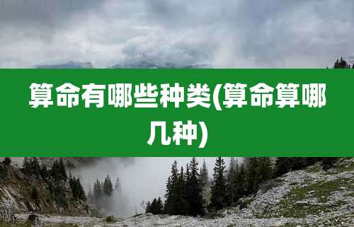 算命有哪些种类(算命算哪几种)