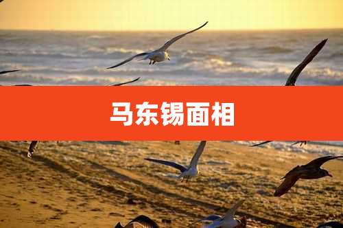 马东锡面相