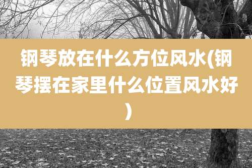 钢琴放在什么方位风水(钢琴摆在家里什么位置风水好)