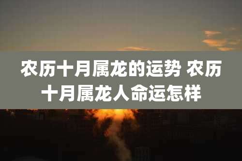 农历十月属龙的运势 农历十月属龙人命运怎样