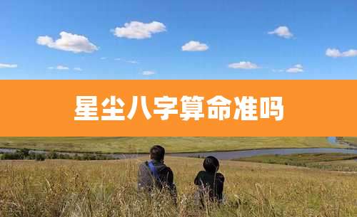 星尘八字算命准吗