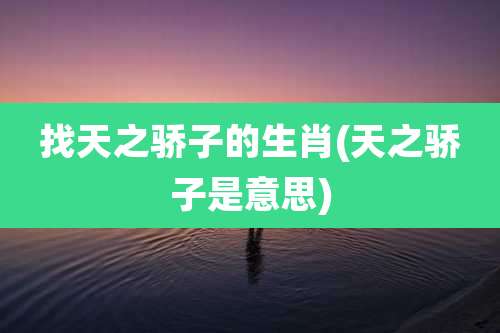 找天之骄子的生肖(天之骄子是意思)