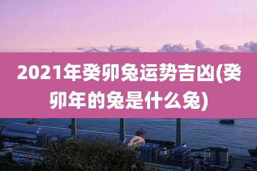 2021年癸卯兔运势吉凶(癸卯年的兔是什么兔)