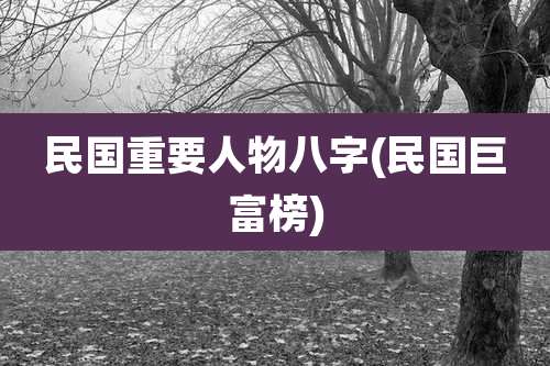 民国重要人物八字(民国巨富榜)