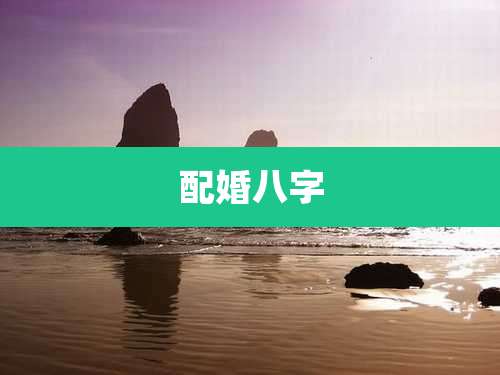 配婚八字