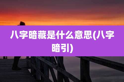 八字暗藏是什么意思(八字暗引)
