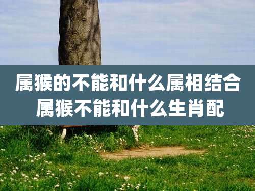 属猴的不能和什么属相结合 属猴不能和什么生肖配