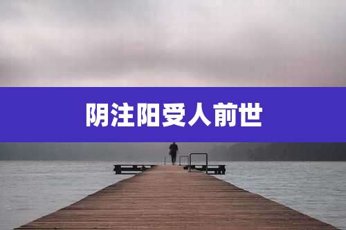 阴注阳受人前世