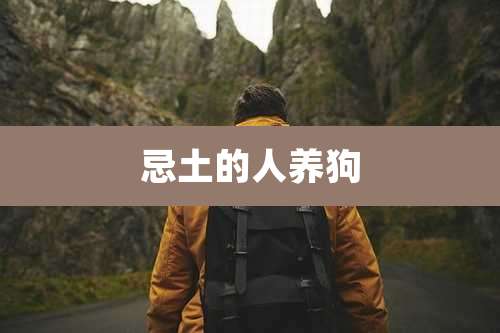 忌土的人养狗