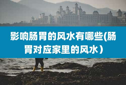 影响肠胃的风水有哪些(肠胃对应家里的风水）