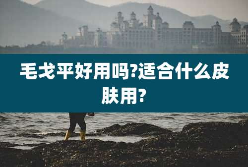毛戈平好用吗?适合什么皮肤用?