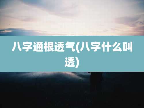 八字通根透气(八字什么叫透)