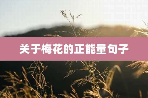 关于梅花的正能量句子