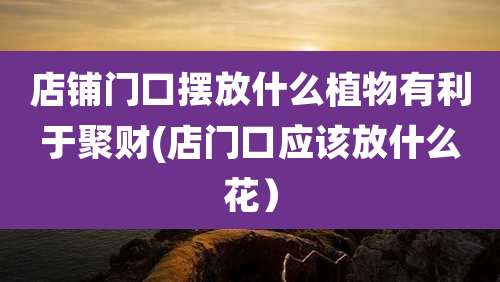 店铺门口摆放什么植物有利于聚财(店门口应该放什么花)