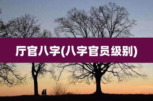 厅官八字(八字官员级别)