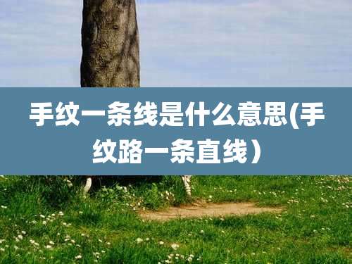 手纹一条线是什么意思(手纹路一条直线)