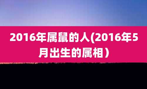 2016年属鼠的人(2016年5月出生的属相）