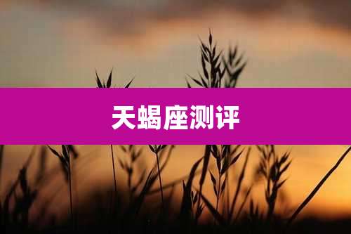 天蝎座测评