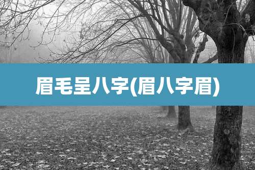 眉毛呈八字(眉八字眉)