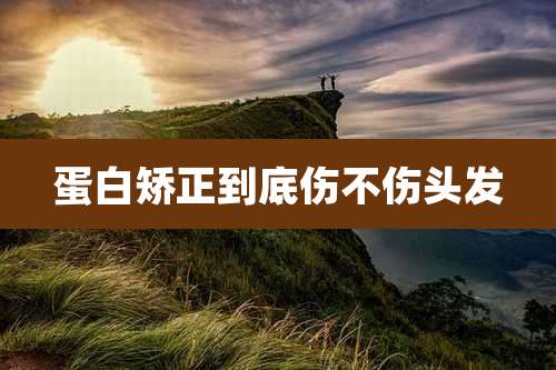 蛋白矫正到底伤不伤头发