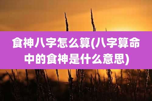 食神八字怎么算(八字算命中的食神是什么意思)