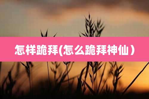 怎样跪拜(怎么跪拜神仙)