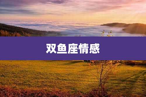 双鱼座情感
