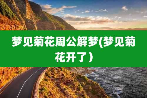 梦见菊花周公解梦(梦见菊花开了)