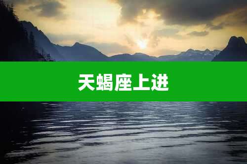 天蝎座上进