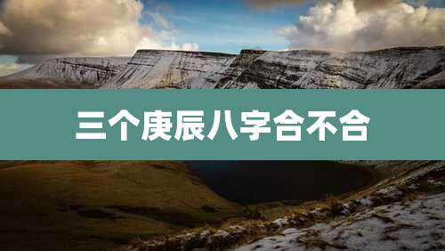 三个庚辰八字合不合