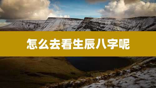 怎么去看生辰八字呢