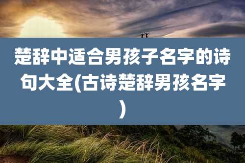 楚辞中适合男孩子名字的诗句大全(古诗楚辞男孩名字)