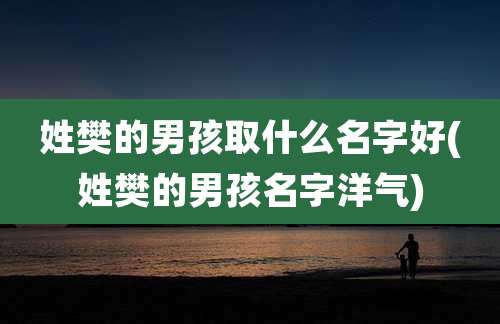 姓樊的男孩取什么名字好(姓樊的男孩名字洋气)